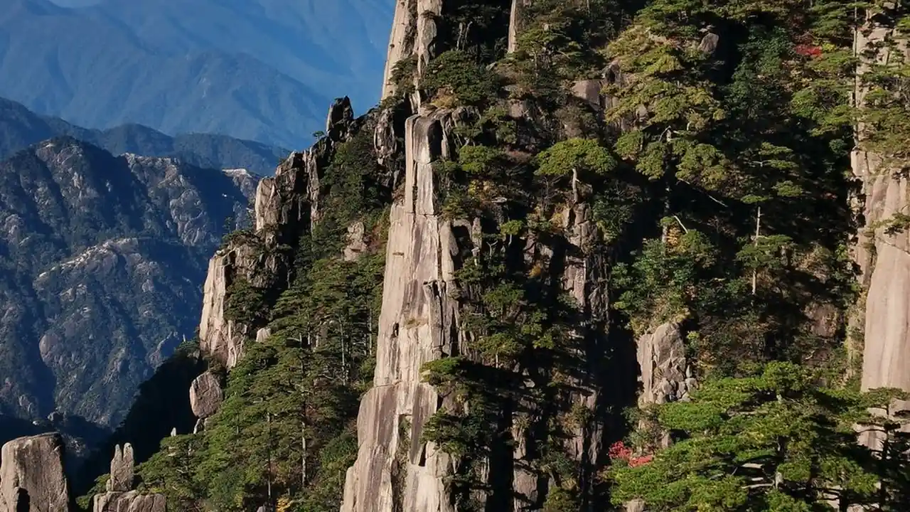 一看电影网您的专属影视天堂